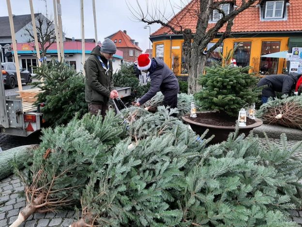 Juletræssalg på Laksetorvet 2023